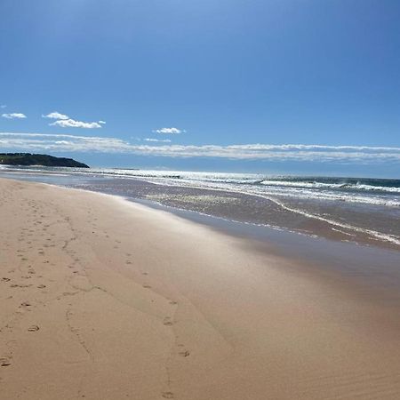 Dee Why Beach - Surfrider Studio 8 Leilighet Deewhy Eksteriør bilde