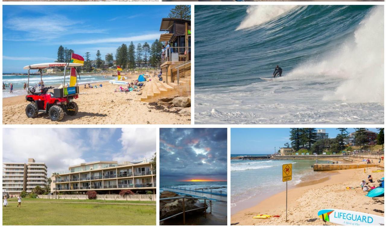 Dee Why Beach - Surfrider Studio 8 Leilighet Deewhy Eksteriør bilde