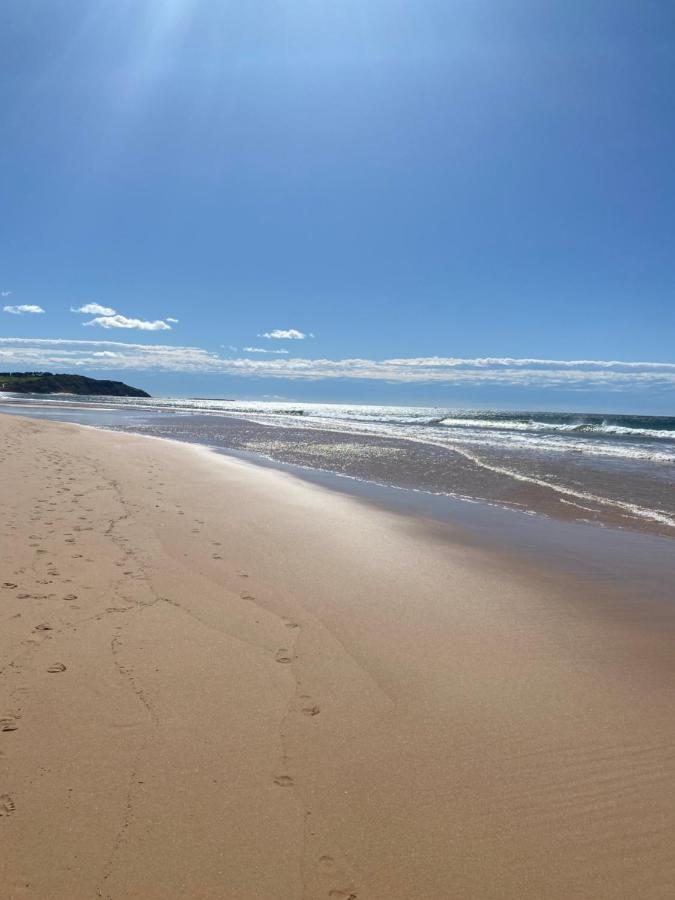 Dee Why Beach - Surfrider Studio 8 Leilighet Deewhy Eksteriør bilde