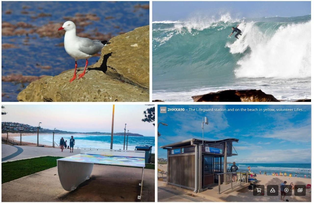 Dee Why Beach - Surfrider Studio 8 Leilighet Deewhy Eksteriør bilde