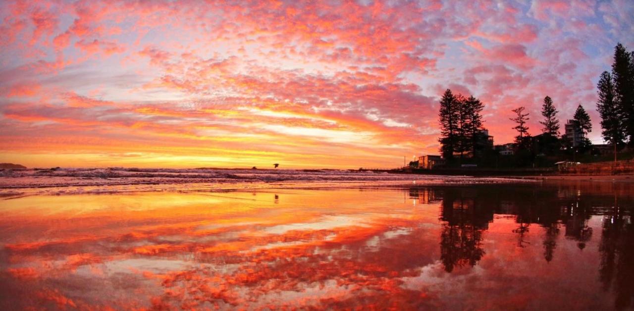 Dee Why Beach - Surfrider Studio 8 Leilighet Deewhy Eksteriør bilde